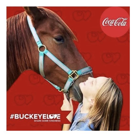 AmeliaAult's tweet photo. #buckeyelove https://t.co/OyQDuLJ7Le