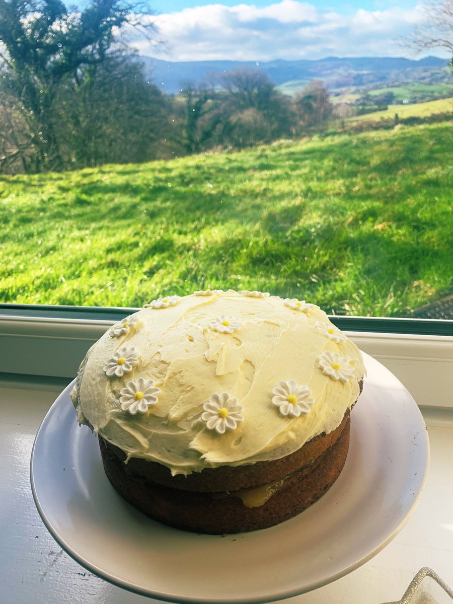 Wish I could retire and just bake cakes and look at this view everyday ❤️#lockdownbaking #lemonsponge #burstingwithflavour #lovethisview
