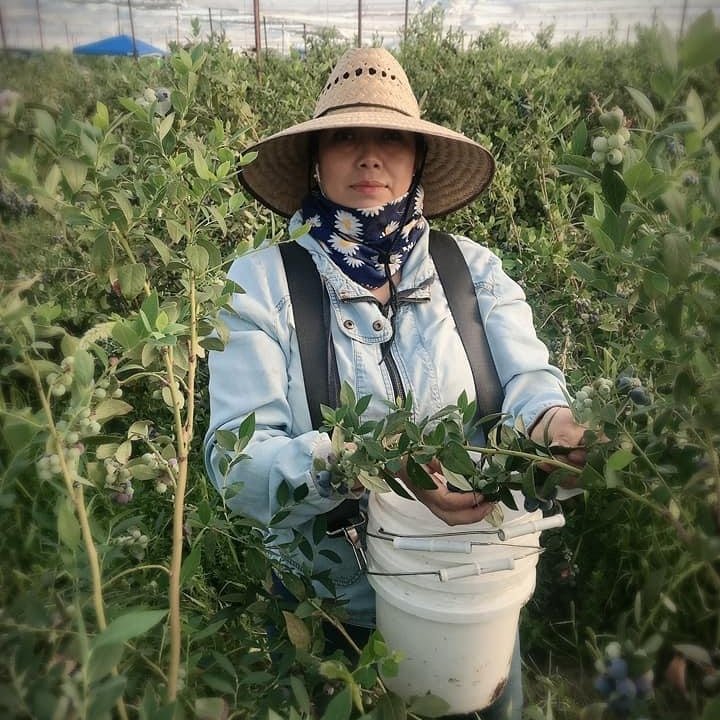 UFWupdates's tweet image. My name is Viridiana and I want immigration reform for one reason. So employers can stop discriminating against us and abusing our rights because they know we are undocumented and won’t complain. #WeAreHome #WeFeedYou