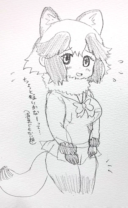 タヌキちゃんのスカートを短くしたrkgk 