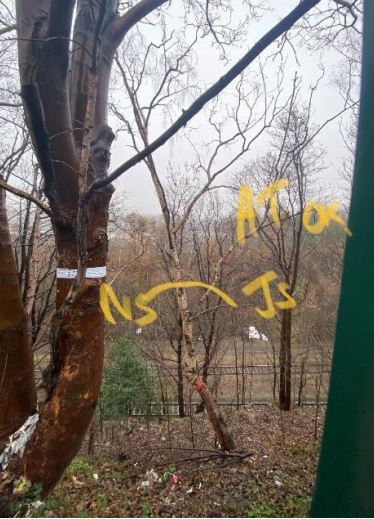 Armley Trees tweet media