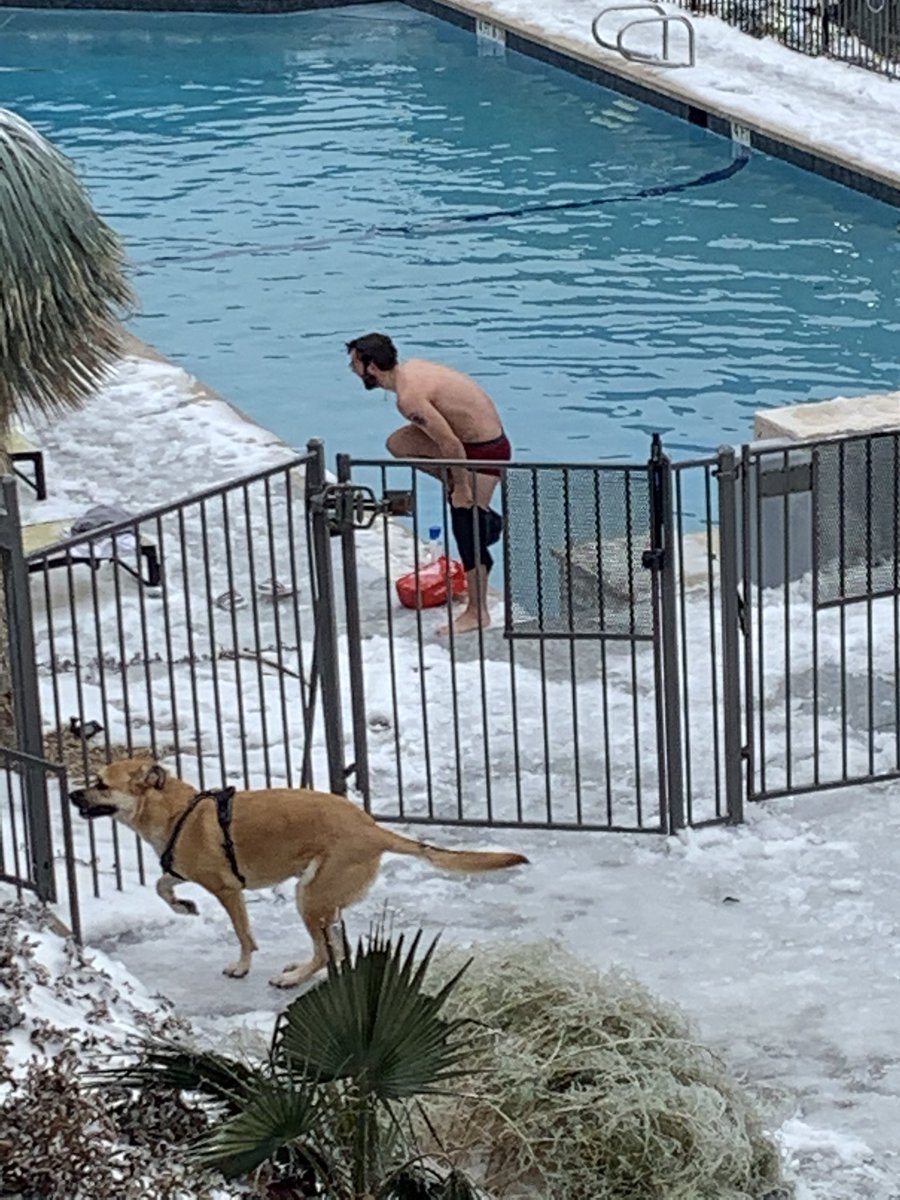 EastAustin1's tweet photo. No water to shower? Then just have a Texas-bath
(unheated pool) #AustinWeird #TexasFreeze #AustinWater #AustinPowerOutage #TexasBlackout https://t.co/yjwkonag0G