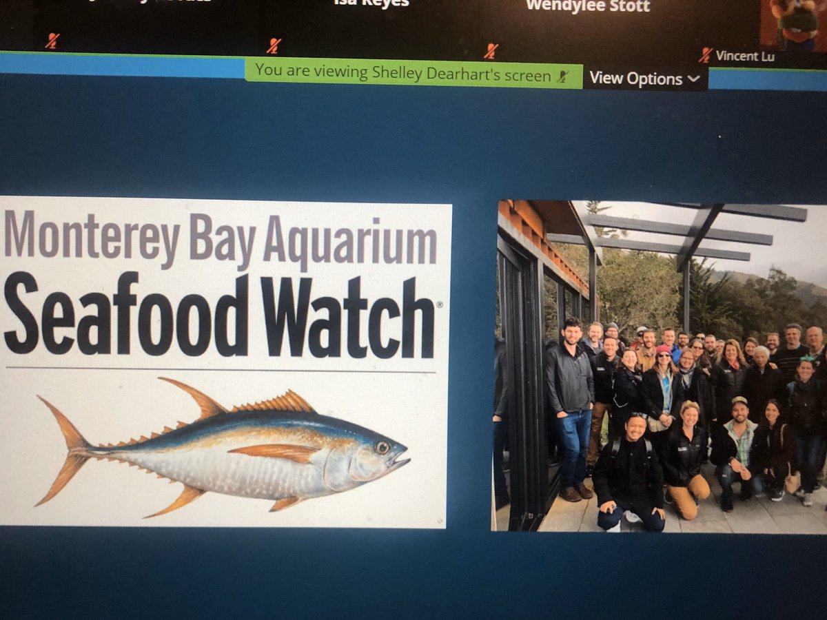 Shelley Dearhart from <a href="/MontereyAq/">Monterey Bay Aquarium</a> showed us how we can be on the lookout for more sustainably caught seafood in our local fish market with <a href="/SeafoodWatch/">Seafood Watch</a>