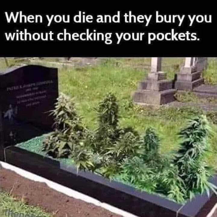 Marie Wilson (@ALMORAH) on Twitter photo 2021-02-18 15:51:43 #funny #weedlife #weedstagram #burial #funnymeme #funnydeath #smokepot #funny #weedlife #weedstagram #burial #funnymeme #funnydeath #smokepot