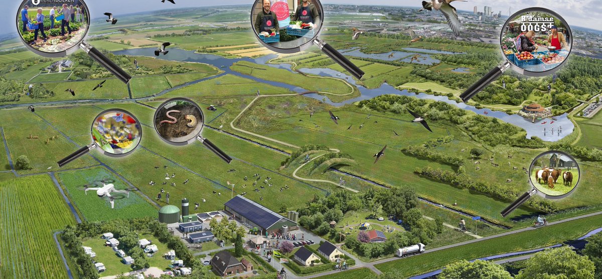 RotterdamFoodCluster tweet media