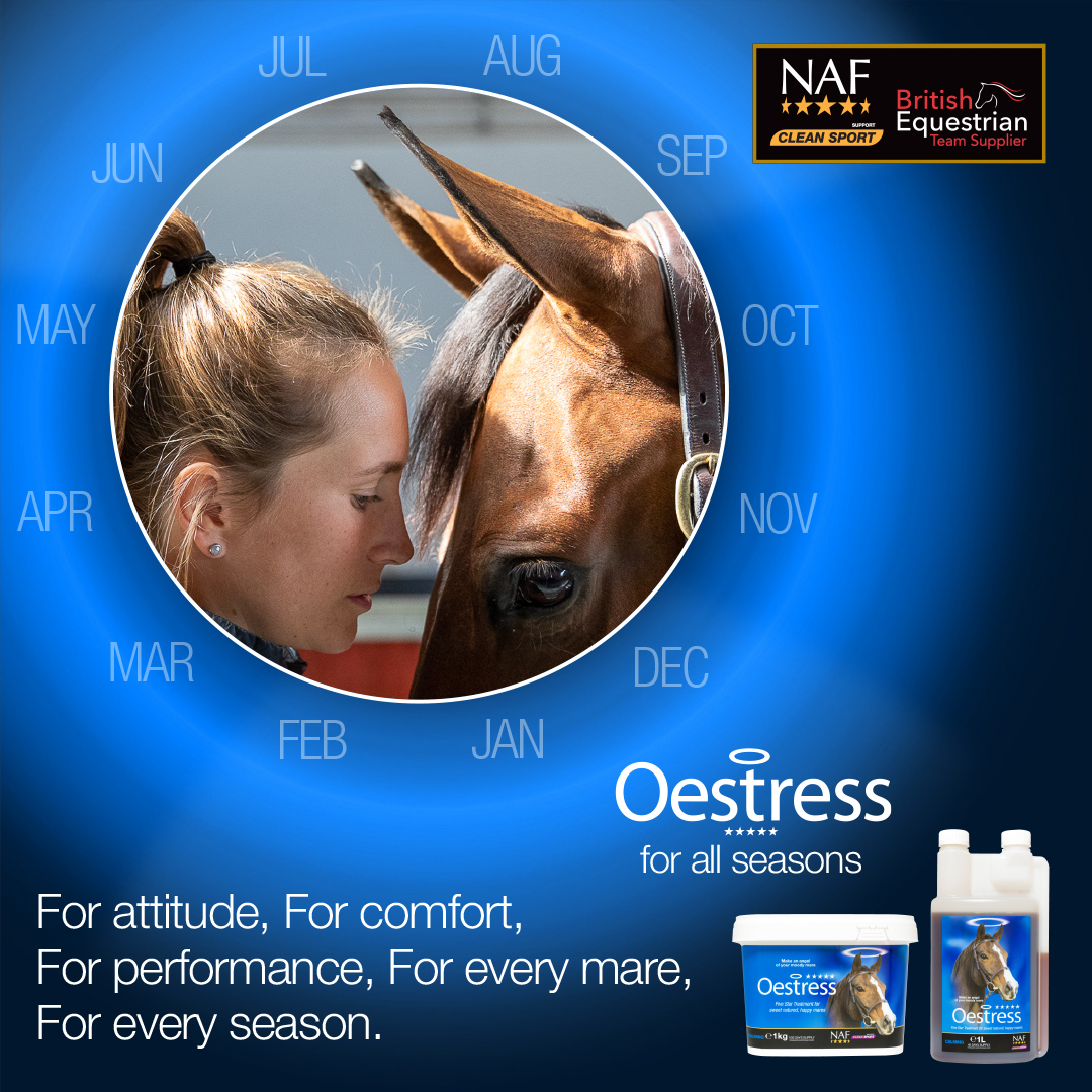 nafuk's tweet photo. Oestress complements the mare's natural oestrus cycle by encouraging regularity whilst supporting hormone balance. If you're a fan of Oestress, let us know why in the comments and we'd love to see a photo of your mare too. #oestress #forallseasons #horses #mares https://t.co/8SGKjUy0YS