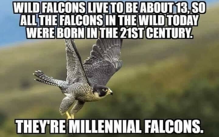 TonksTail's tweet photo. Yes, yes I just went there. #starwars #puns #scifi #author #space #sciencefiction #scifibooks #sf #book #scifiuniverse #bookstagram #novel #readabook #amwriting #amreading #books #writersofig #readersofig #booknerd #authorsofinstragram #writersofinstragr… https://t.co/mS3hyCakJ0 https://t.co/dY0A7mVgOA