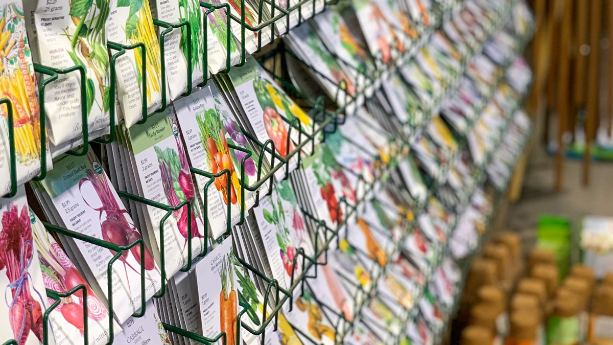 armstronggarden's tweet photo. Now is a great time to sow your #SpringSeeds! 🌱 Shop our expansive selection of @BotanicalSeeds for your favorite veggies, herbs, annuals, and perennials. Choose from high quality, organic, non-gmo options in the best traditional and heirloom varieties. #ArmstrongGarden https://t.co/HEg1eSKeY0