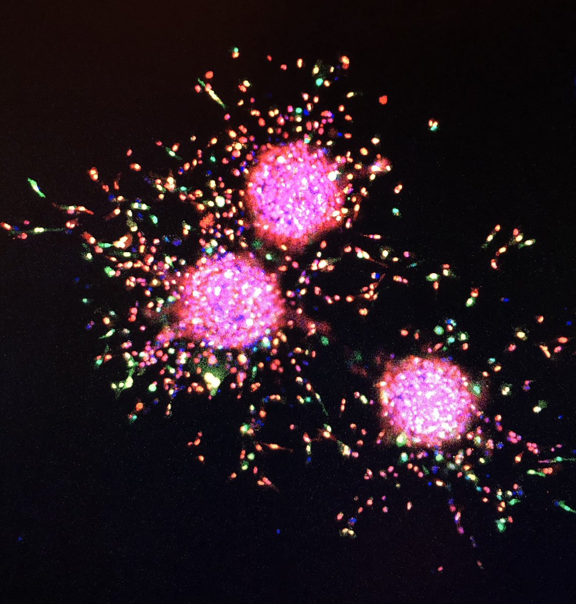 KeqianN's tweet photo. Firework imaging! https://t.co/TG6HsMUVgG
