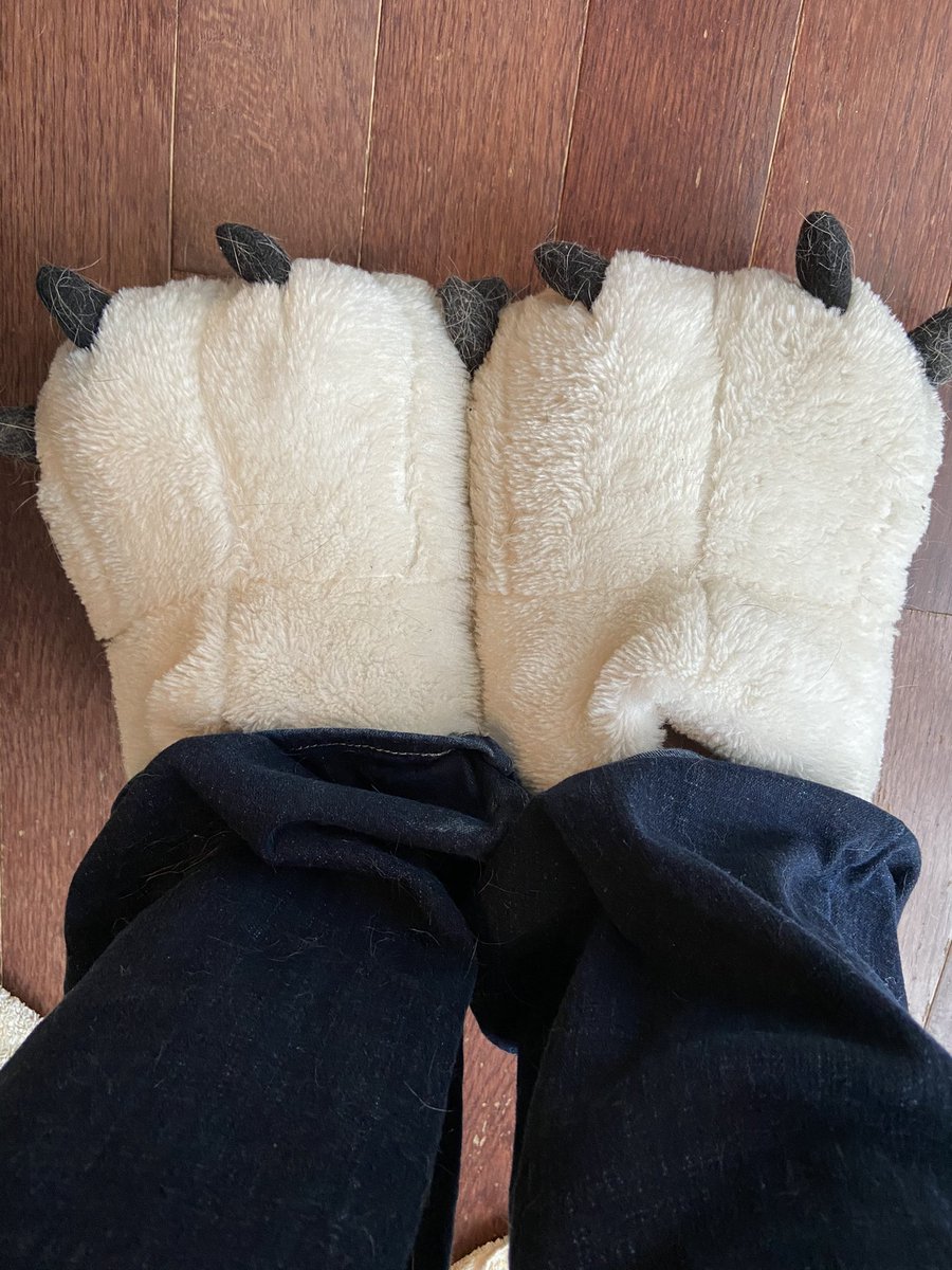 Deana Munchow tweet media