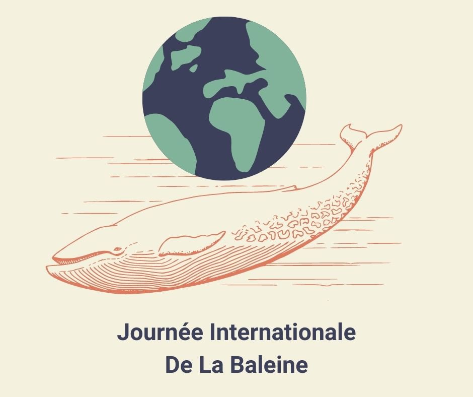 EloBlou's tweet photo. Chaque baleine equivaut, en consommation de co2, à 1500 arbres. Une baleine, simplement en vivant, permet au monde d'économiser 2 000 000$ de service climatique. source : France Info #ecologie https://t.co/RHVMLtp0jY