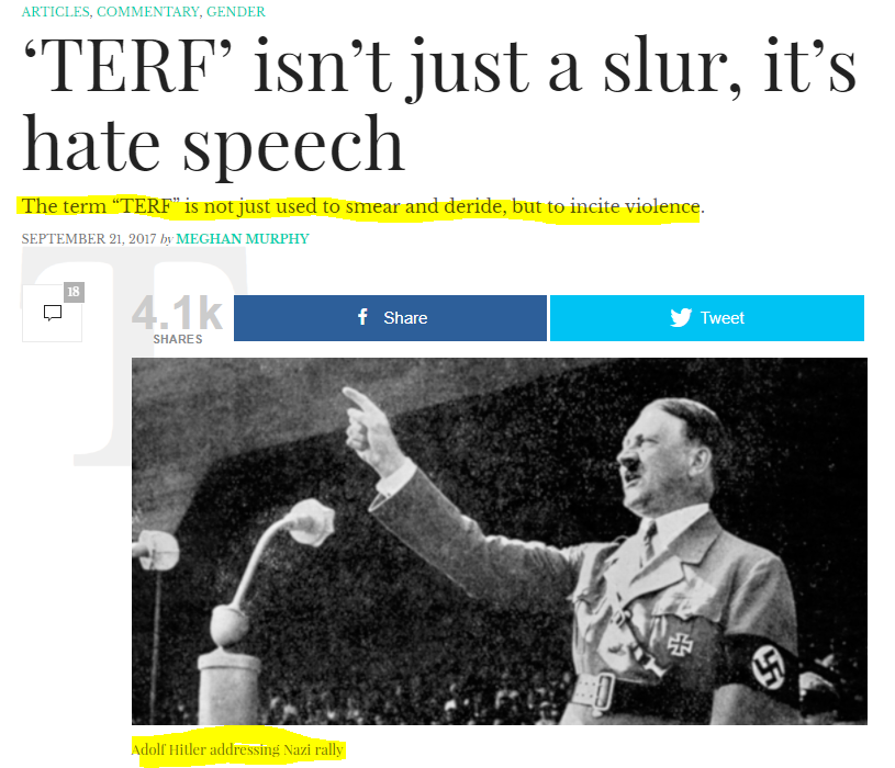 But do TERFs apply the same linguistic standards they use for themselves on pro-trans equality movements? This is how is “TERF” is portrayed by sites run by TERFs: