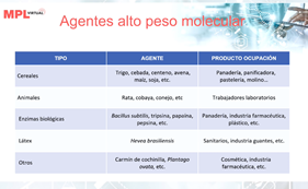 Leticia de las Vecillas tweet media