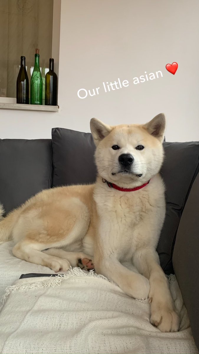 The Yin to our Yang❤️