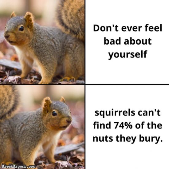 BreakBrunch's tweet photo. Don't ever feel bad about yourself - https://t.co/MFYuFkV9Bg https://t.co/CuM8k5Lr9w