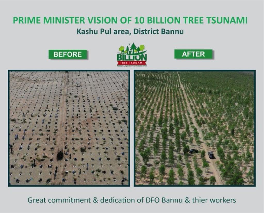 ZubairNiaziPAS's tweet image. This is bannu  Masha Allah. With this zeal and commitment in sha Allah we will achieve forest cover.