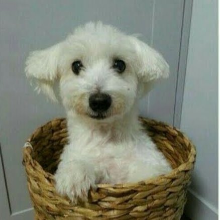 A thread of Jungkook's art coz he is the best boy