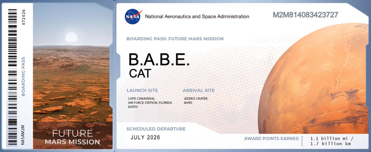 Chill Out Cat tweet media