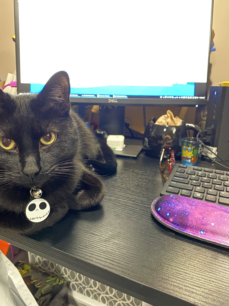 SamWaldenmeyer's tweet photo. @taylordonkeys That’s because black cats are the best work buddies! 💕 https://t.co/v16xI3erkO
