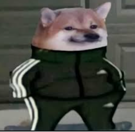 PIGSPORTS tweet media