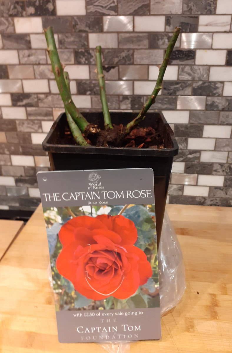 Mark Brown tweet media