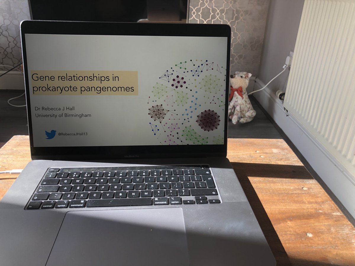 Rebecca J Hall tweet media