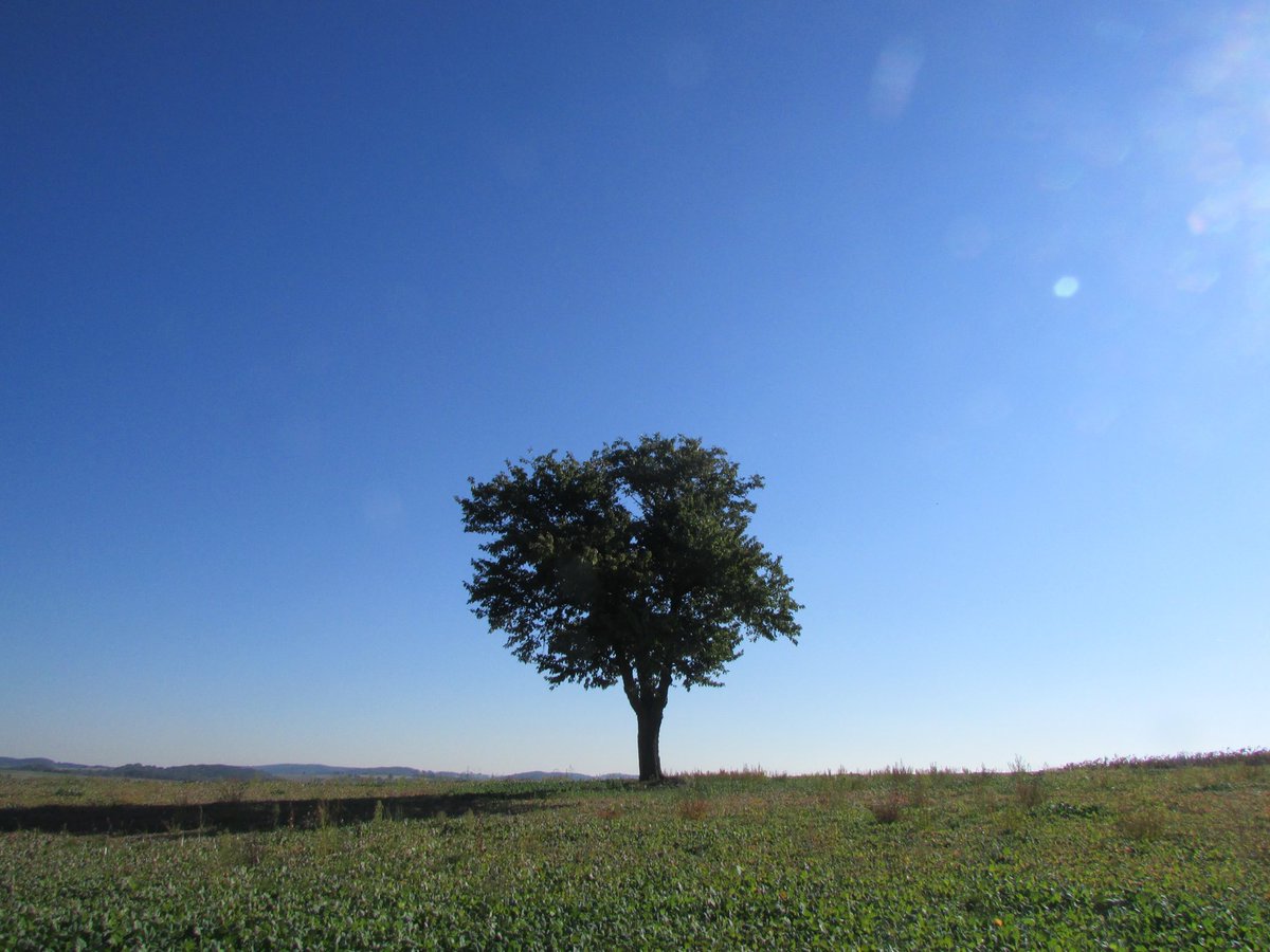 There is no substitute for spending time with God. There simply isn’t. Lord, help me to create space to be with You. #Amen