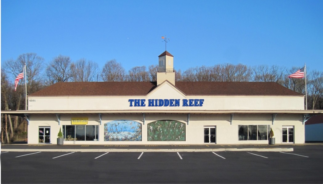 OmegaSeaLLC's tweet image. The Hidden Reef is the largest aquarium
specialty store in the Philadelphia area. They pride
themselves on low prices and quality products. Check
them out if you're in the Philly area! #shoplocal
#lfs #omegaone