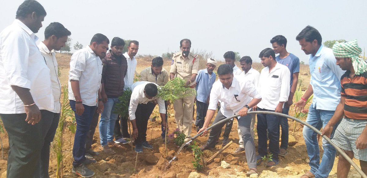 Chiranjeevibes1's tweet image. సీఎం కేసీఆర్ గారి జన్మదిన సందర్భంగా మండలంలో ఒకే రోజు జెడ్పీటీసీ చిలుముల శేష సాయి రెడ్డి అన్న గారి అధ్వర్యంలో 12,500 మొక్కలు నాటడం జరిగింది