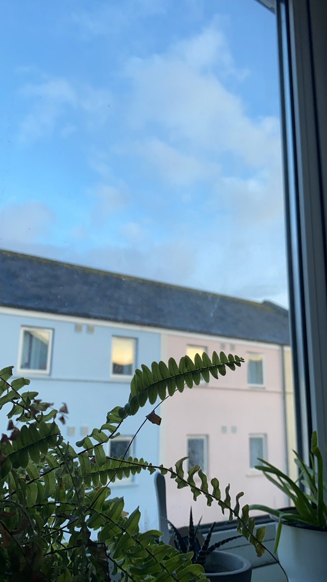 strong correlation between my mental health and the longer these evenings be getting sun. cannae wait for summerrrrr