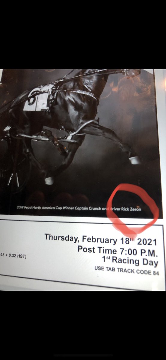 TrottinTURK tweet media