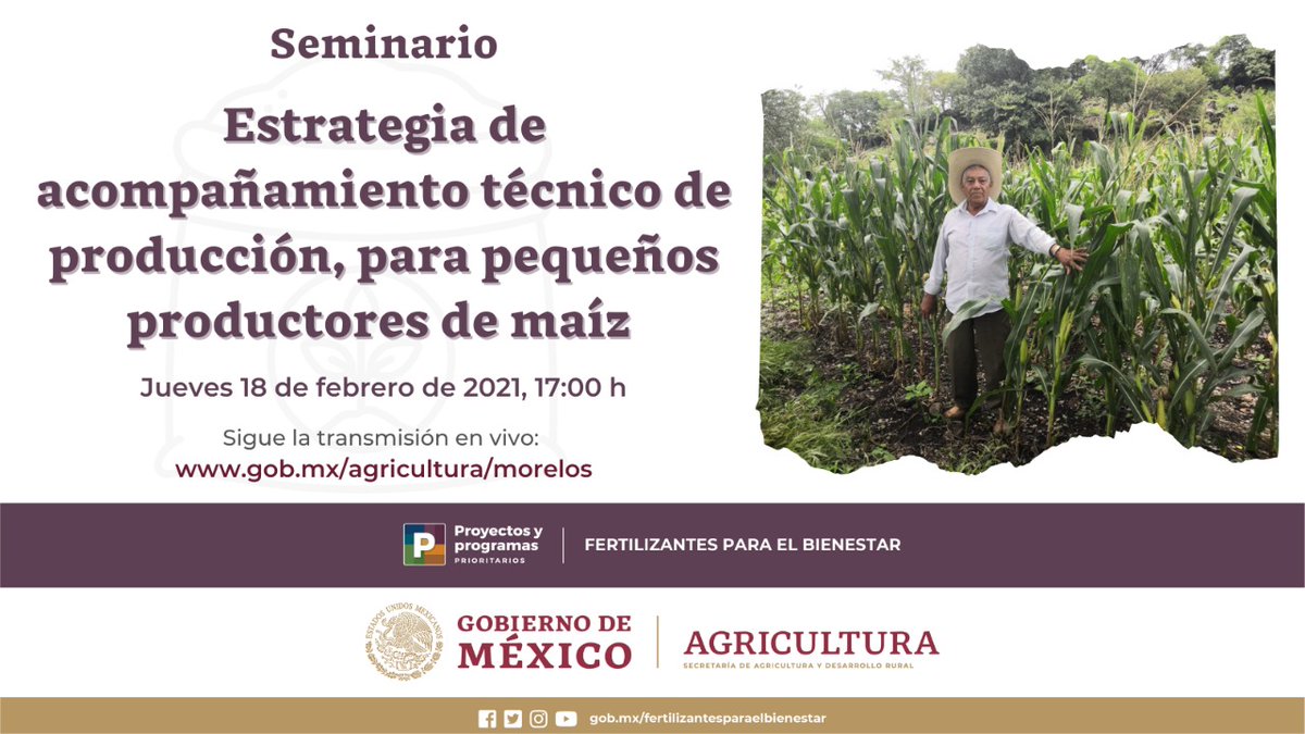 Representación Morelos tweet media