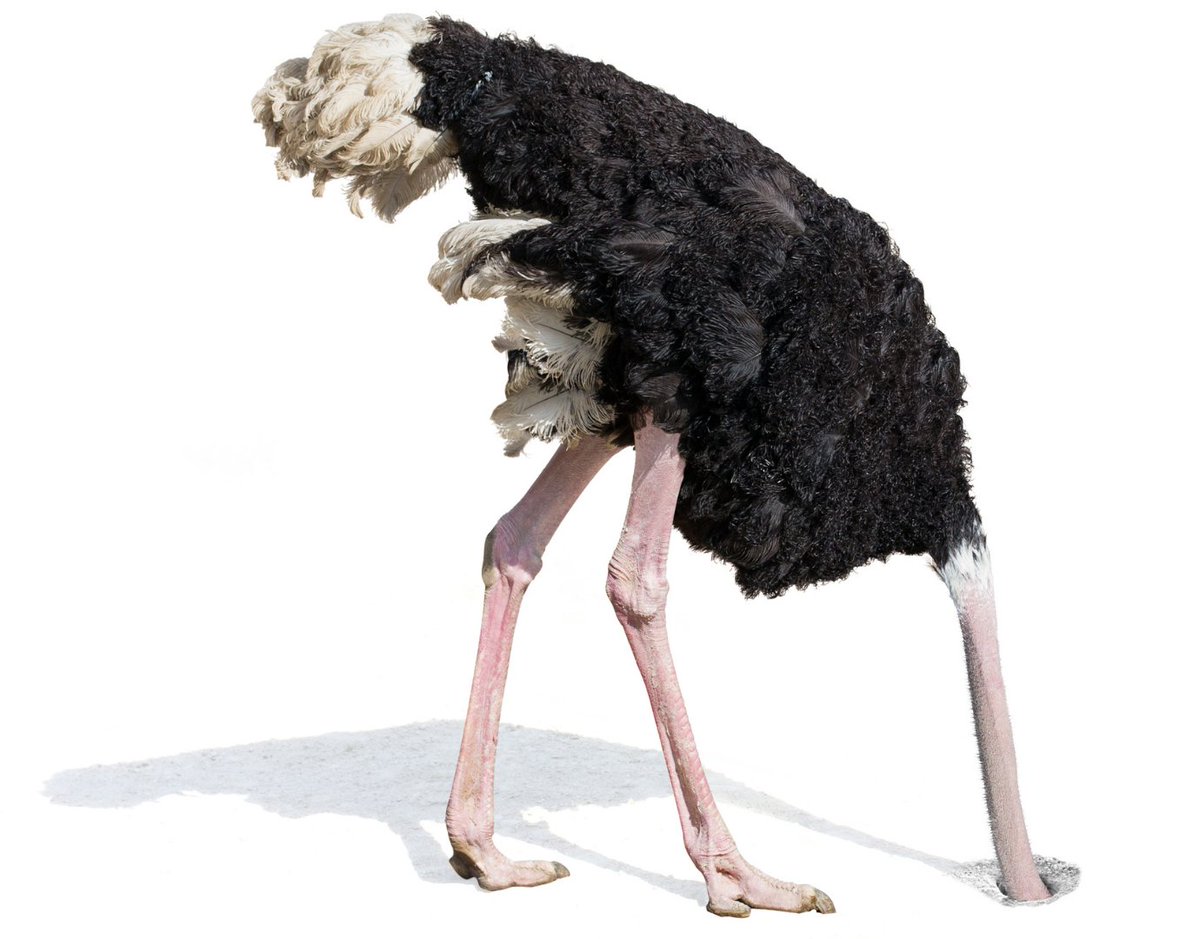 Some don’t track progress intentionally, that’s the “The Ostrich Problem” concept.We don’t want to know how far off we’ve strayed from our goals which would be both depressing and might cause harm to our self-image.