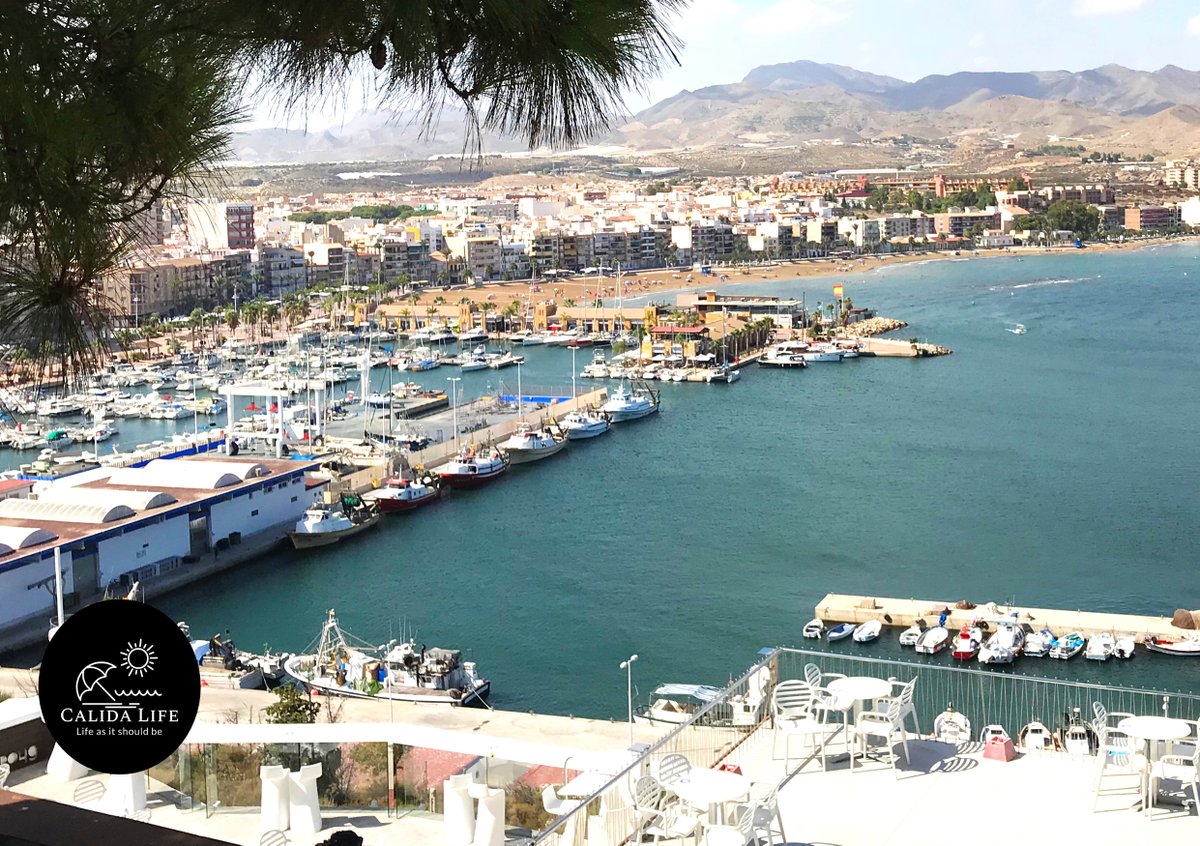 CalidaLife's tweet image. 