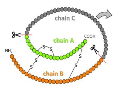 Let’s go!!The main link between sugar and acne is a hormone produced by our pancreas known as INSULIN