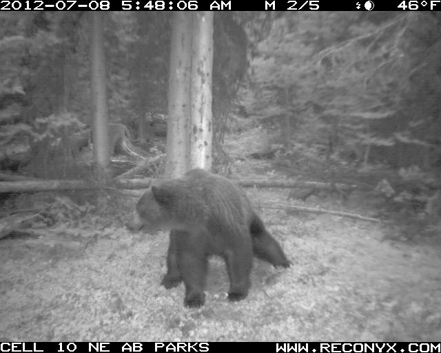 AltaWolverine's tweet photo. Um... that's some odd posture. Is someone having a bit of a 💩 break? I guess when you've got to go, you've just got to go. 😉 https://t.co/P7eN97Oslc