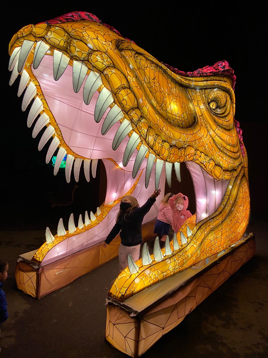 AndyWinegarner's tweet photo. DINOSAURS at Glowfari at @oakzoo
#oaklandzoo #CATrail #oakland #oakzoo #conservation #TakingAction https://t.co/Ltp9pvTQHn