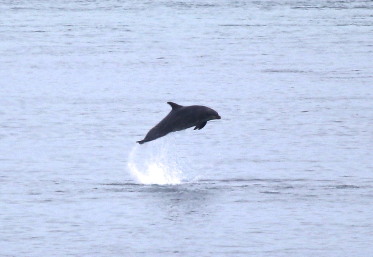 Stuart Line Cruises tweet media