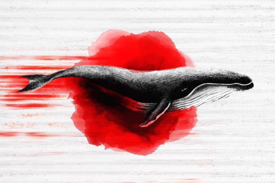 KipAuthor's tweet photo. You might not like what dolphins have to say when a communication breakthrough is made. You might not like how they back up their “words” with action.
Delphys Rising https://t.co/56SEyKaB8M
#ThrillerThursday #WritingCommunity #WritersCafe #ArtificialIntelligence #dolphins https://t.co/bIW0BzhOEn