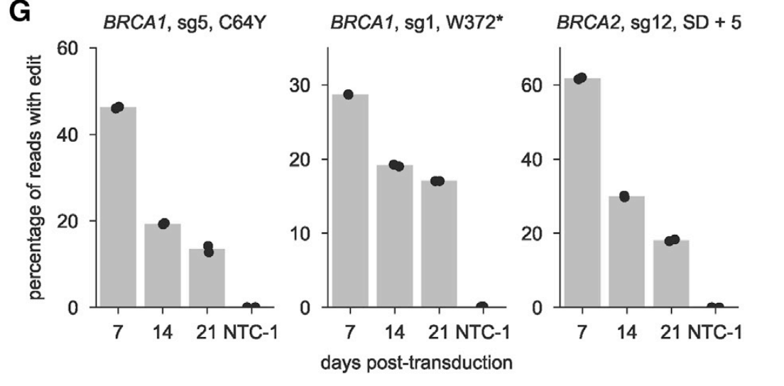 Here's another example, this time a protein-coding mutation, where C64Y drives the phenotype. Another way to sum up this information is to group all reads by a mutation, can see that the C64Y mutation is selected against in the population over time.