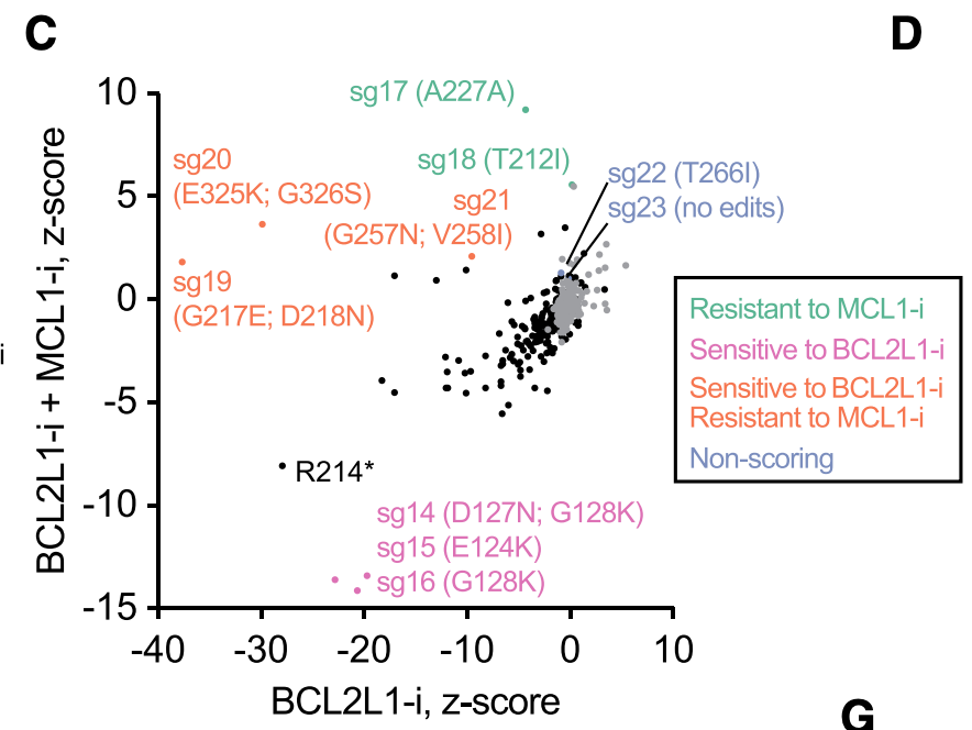 We found a lot of cool mutations that we are definitely not in the position to pursue further, so if you're an MCL1 or BCL2L1 afficianado, please let us know!