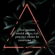 Thank_Hashem's tweet image. 