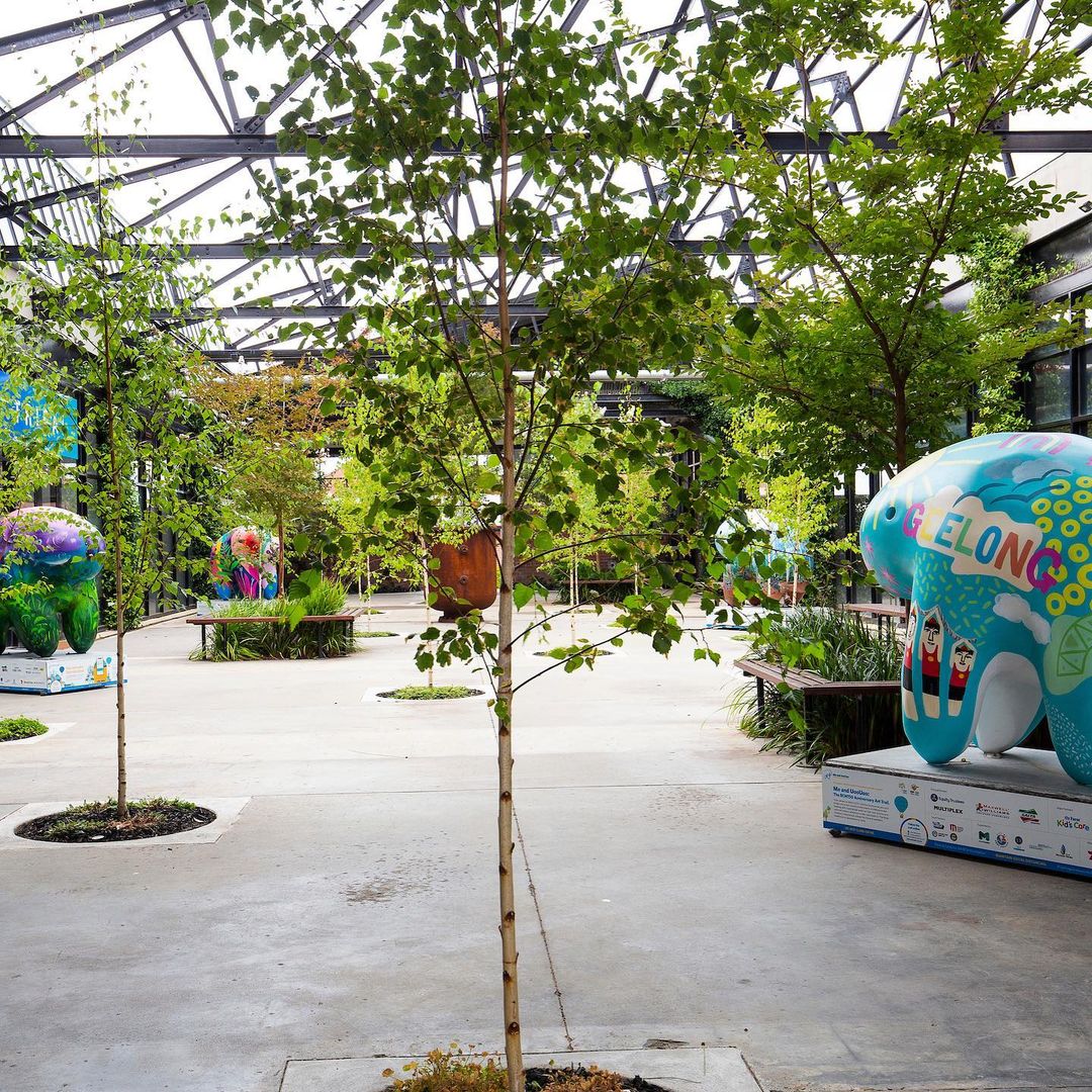 RCH Foundation tweet media