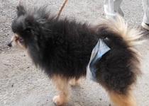 愛媛県松山市保健所のtwitterイラスト検索結果