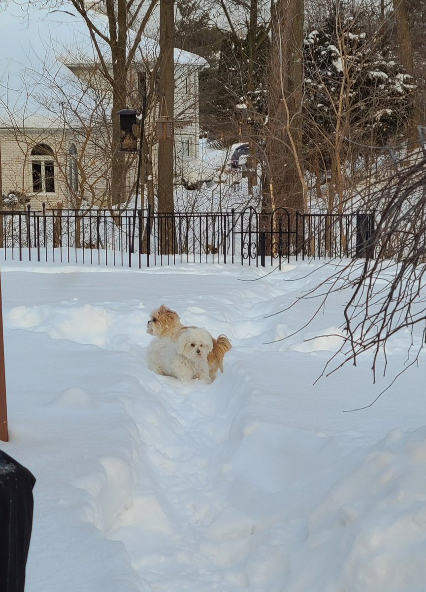 You take the high road and I'll take the low road