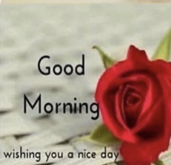 TunzDev's tweet image. Nobody: 

Millennials: