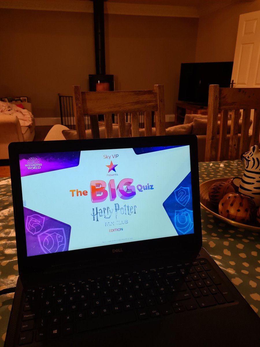 joanne_petch's tweet photo. #SkyVIP The Potter Petches are representing Gryffindor tonight 🧙‍♂️🧙‍♀️ https://t.co/W2NiRSIYUj
