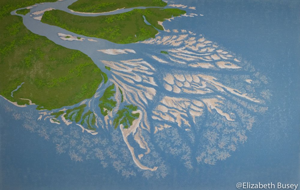 Jezero Crater! These features might look very familiar to you if you've ever seen a river delta before. That's bc these are the remnants of an ancient lake back when Mars used to have water. Sediments would build up over time leaving behind minerals like clays and carbonates.