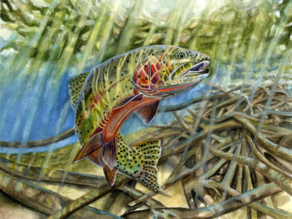 TTFWatershed's tweet photo. Looking for a fun indoor activity? From now until March 31, @wildlifeforever is hosting a #FishArtContest open to youth grades K-12🐟 Participants may enter an original illustration, helping introduce young people to the wonders of #fish!➡️ https://t.co/fm1smCx5gJ
🎨: Eunice Kim https://t.co/IZTr8OPoFd