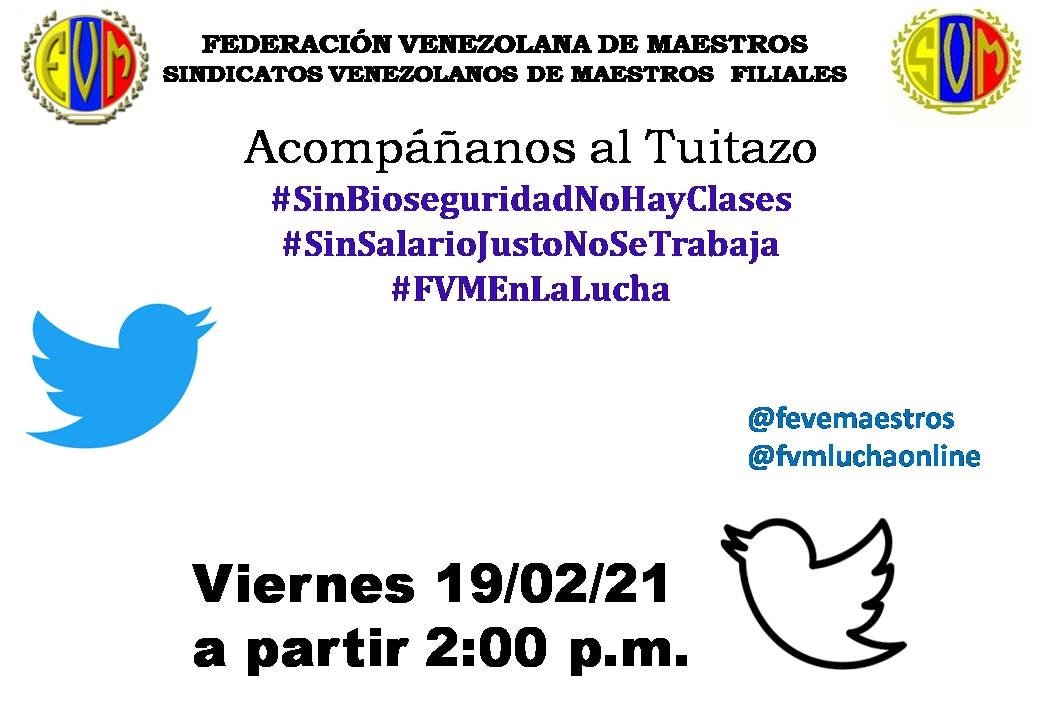 fvmluchaonline's tweet photo. Acompáñanos al tuitazo nacional en rechazo al irresponsable llamado a clases y al desconocimiento de nuestros justos reclamos siguenos

#SinBioseguridadNoHayClases
#SinSalarioJustoNoSeTrabaja
#FVMEnLaLucha https://t.co/F6vPYKJUjj
